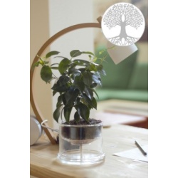 self_watering_pot_large_tree_of_life_160mm