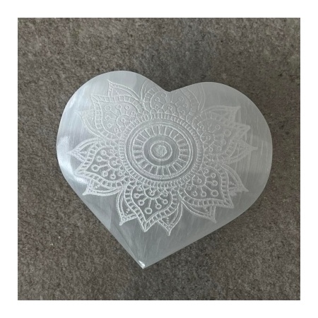 279653492_1636304966726524_1635748331041994033_n