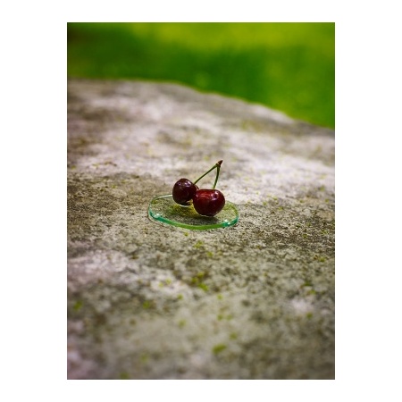 5110_-_small_energy_plate_-_cherry_2