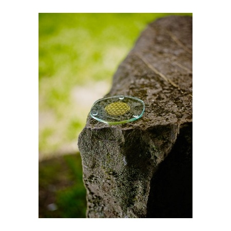 5110_-_small_energy_plate_-_nature