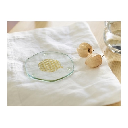 5110_-_small_energy_plate_-_table_inside