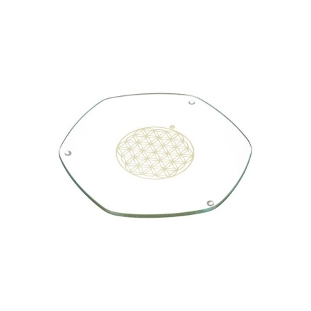 5210_-_energy_plate_large