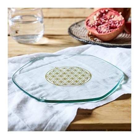 5210_-_large_energy_plate_-_table_outside_1