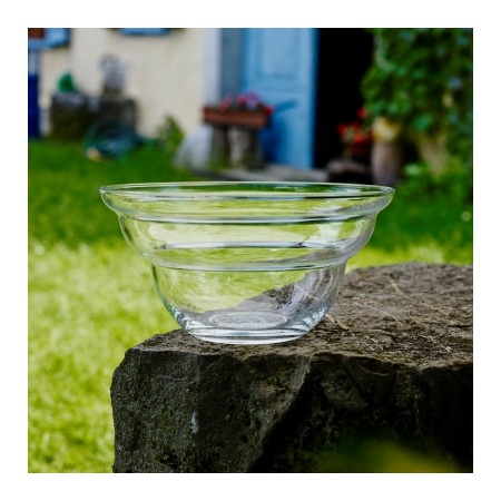 5430_-_cotula_large_-_nature_2