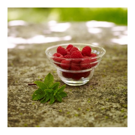 5630_-_cotula_small_-_berries_2