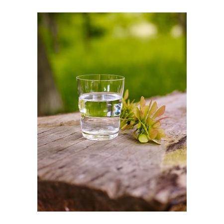 6110_-_jasmina_gold_-_wood