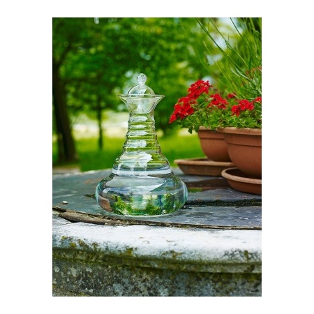 7210_-_alladin_family_-_nature