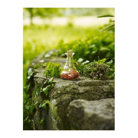 7810_-_golden_miniverse_-_nature