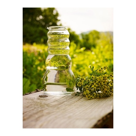 8930_-_cadus_white_-_nature_2052851819