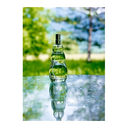 9000_-_air-ion_sprayer_-_garden