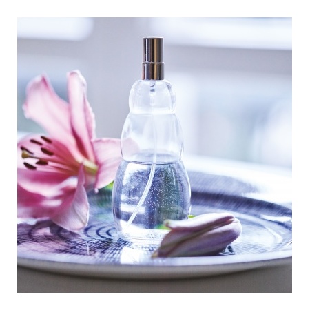 9000_-_air-ion_sprayer_-_table_inside