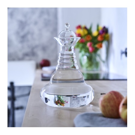 alladin_basic_carafe_1_3l_natures_design_glassware_energized_water_lifestyle__1672655278