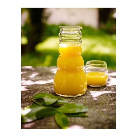 cadus-jug-natures-design-glass-white-flower-of-life-golden-ratio-lifestyle-orange-juice