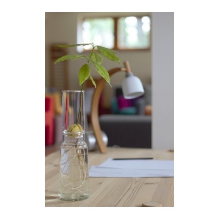 cultivation_set_long_with_plant