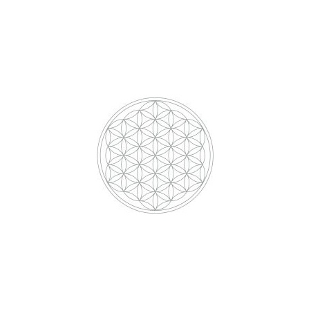 flower_of__life_grey_1669421278