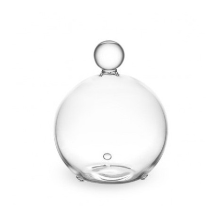 glass-lid-beauty_universe