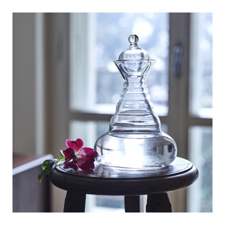 golden_delicate_natures_design_carafe_energized_water_lifestyle_579610913