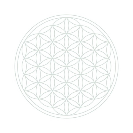 lebensblumen-white_1694705139