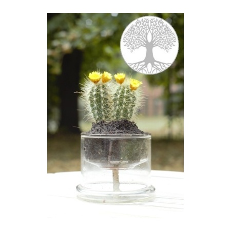 self_watering_pot_medium_treeof_life