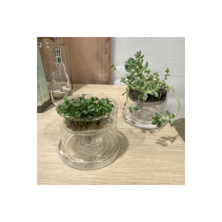 untitled_design_15_415810872