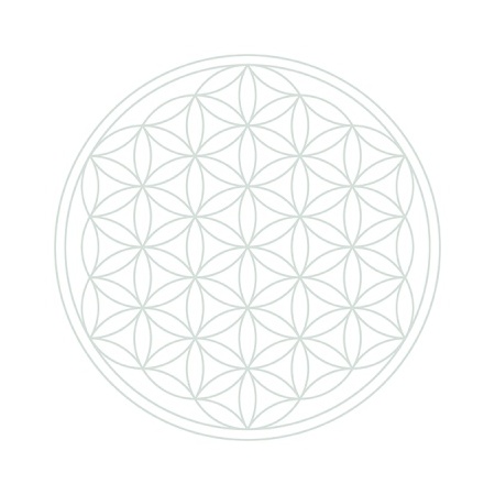 white_flower_of_life_795069843