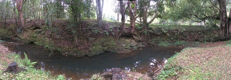 pano nature Crystal Creek