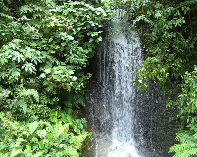 Peru 1